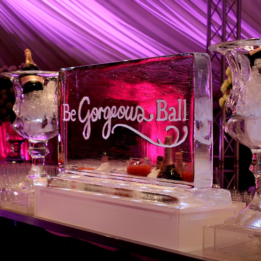 Ice Bar - Party Planner Ingredients